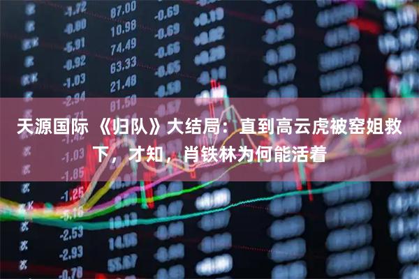 天源国际 《归队》大结局：直到高云虎被窑姐救下，才知，肖铁林为何能活着