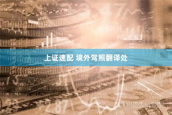 上证速配 境外驾照翻译处