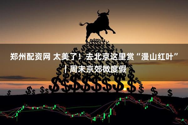 郑州配资网 太美了!去北京这里赏“漫山红叶”|周末京郊微度假