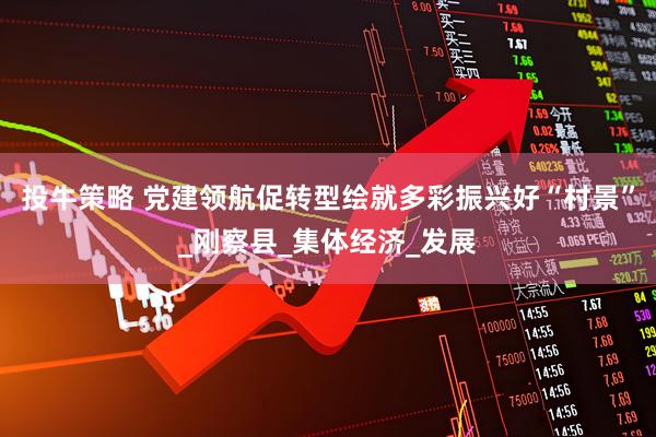 投牛策略 党建领航促转型绘就多彩振兴好“村景”_刚察县_集体经济_发展
