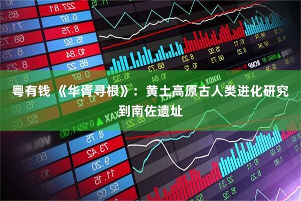 粤有钱 《华胥寻根》：黄土高原古人类进化研究到南佐遗址