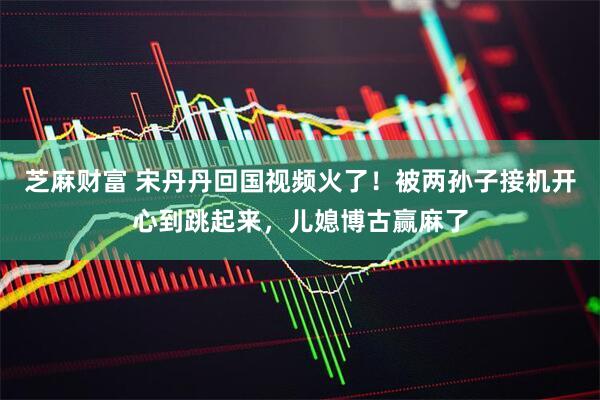 芝麻财富 宋丹丹回国视频火了！被两孙子接机开心到跳起来，儿媳博古赢麻了